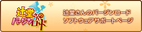 辻堂さんのバージンロード